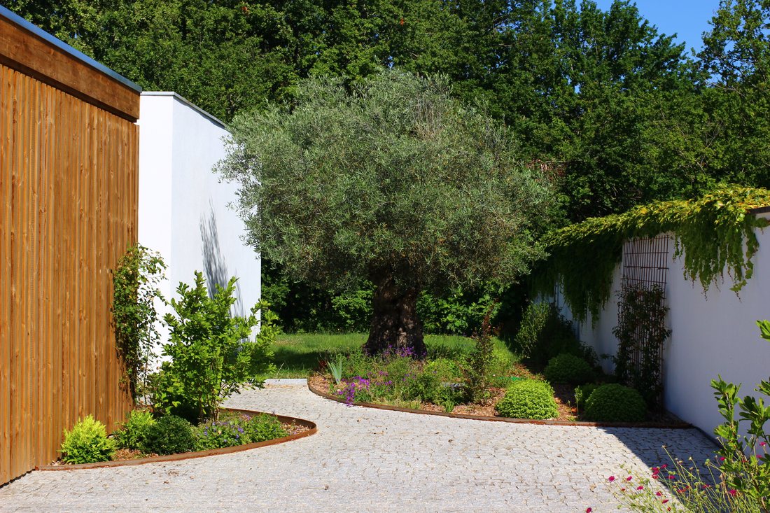 La cour végétalisée — photo 9
