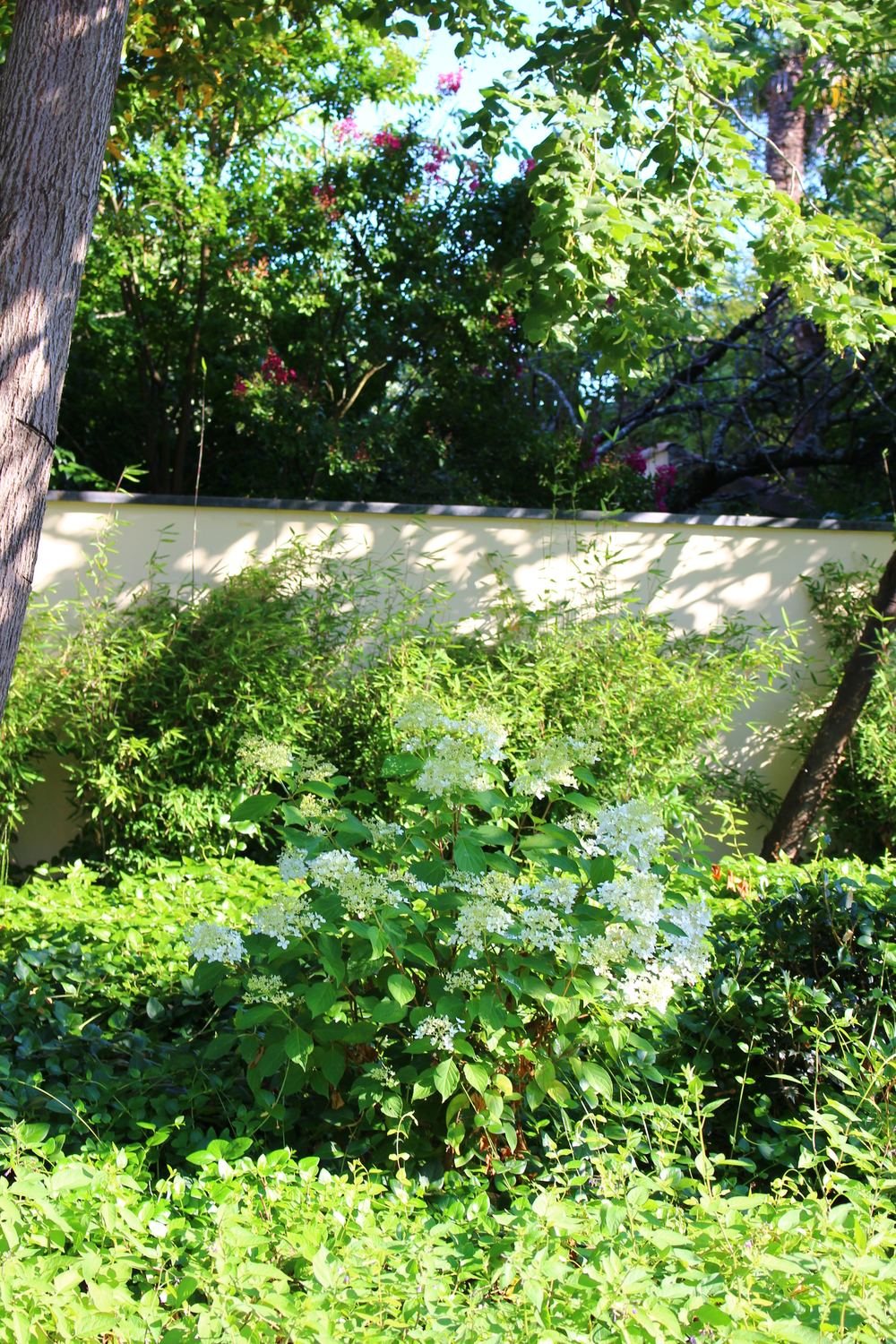 Au petit manoir — photo 7