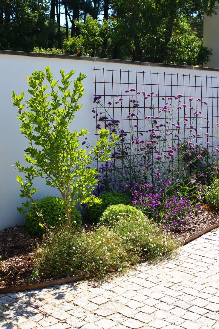 Plantations — photo 31