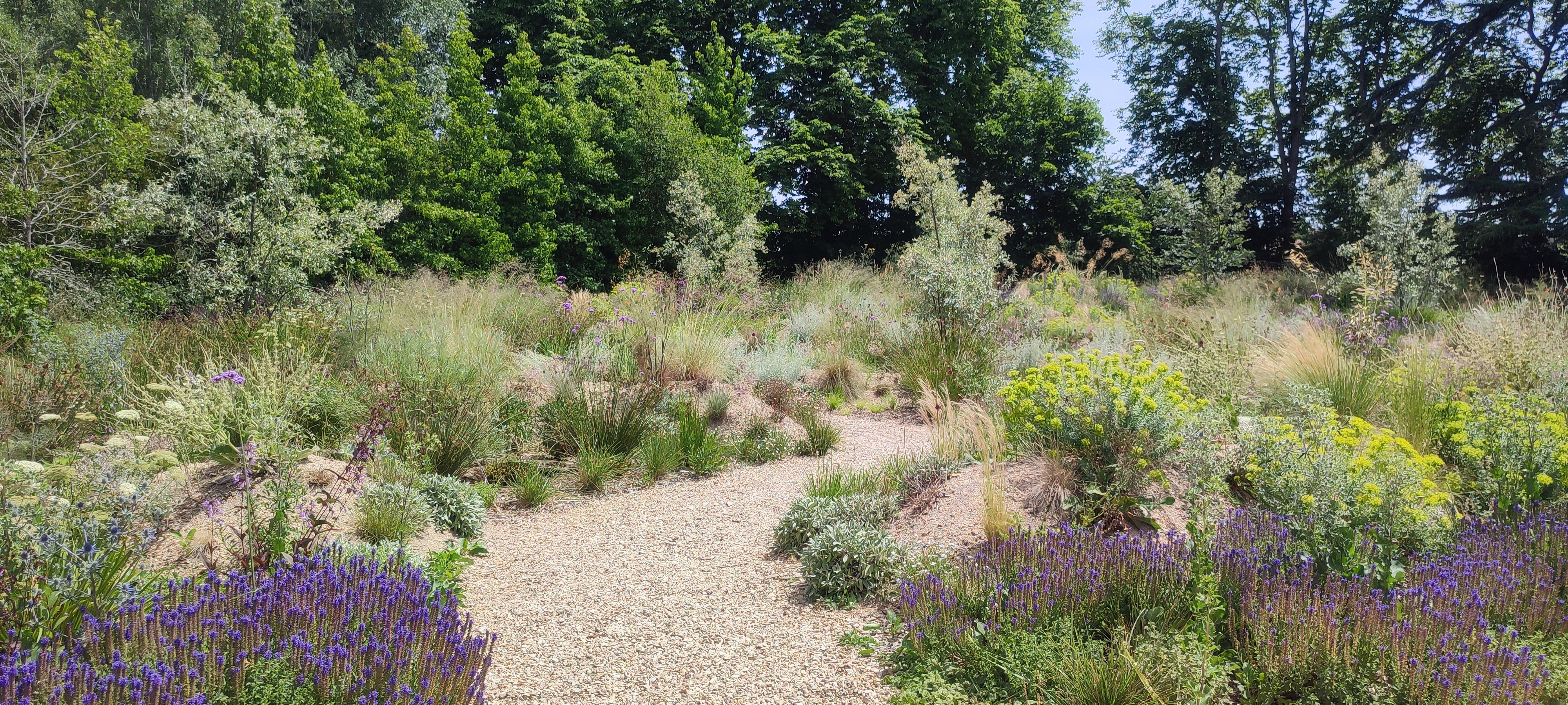 Jardin sec Jardin permanent 