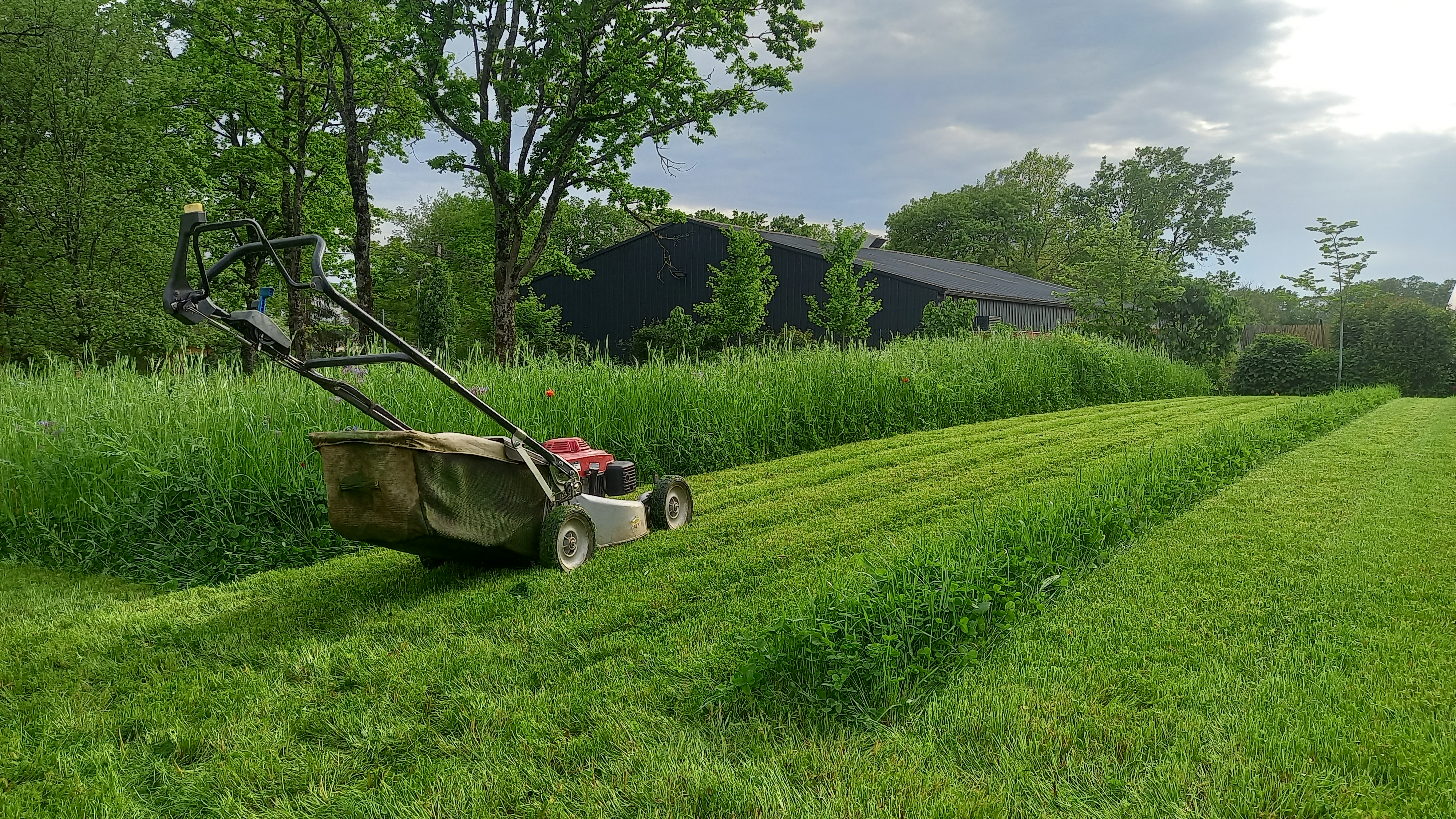 Et si je tondais moins ? Une autre façon de penser son jardin